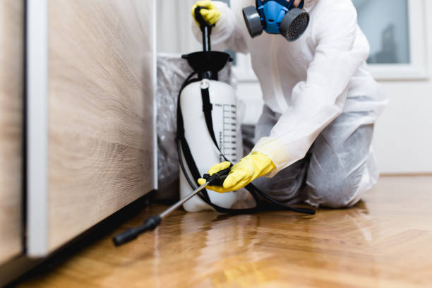 Best Pest Prevention Services  in East Marion, NY