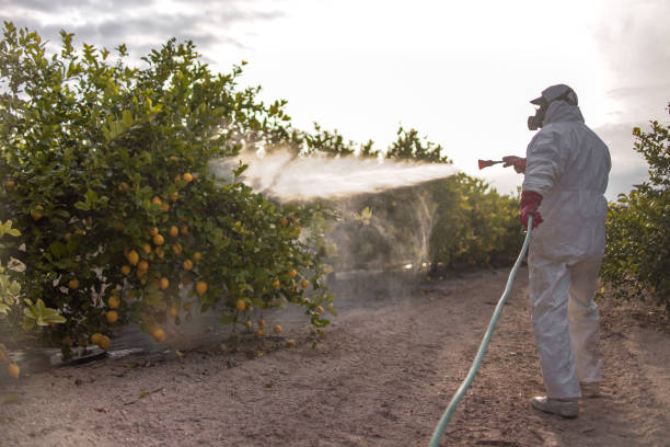 Best Pest Control for Restaurants  in East Marion, NY