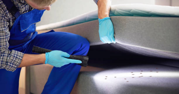 Best Wasp Removal Services  in East Marion, NY