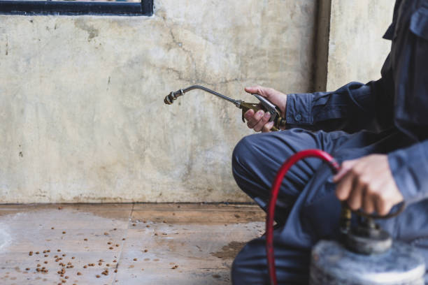 Best Pest Removal Services  in East Marion, NY